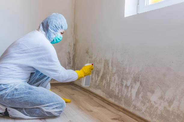 Certified Mold Removal in Garfield, TX