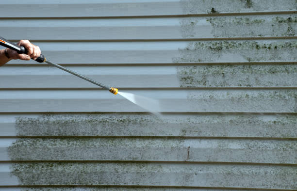Best Attic Mold Removal  in Garfield, TX