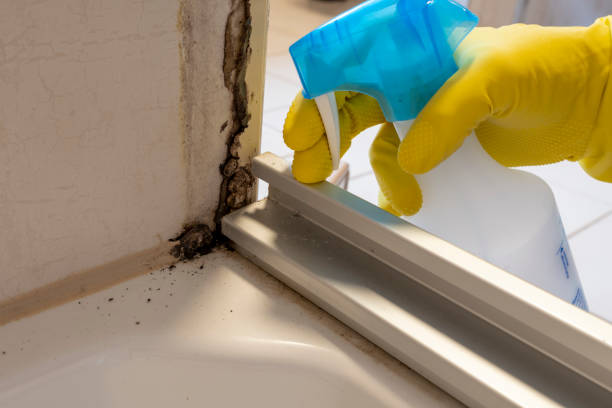 Best Mold Cleaning Services  in Garfield, TX