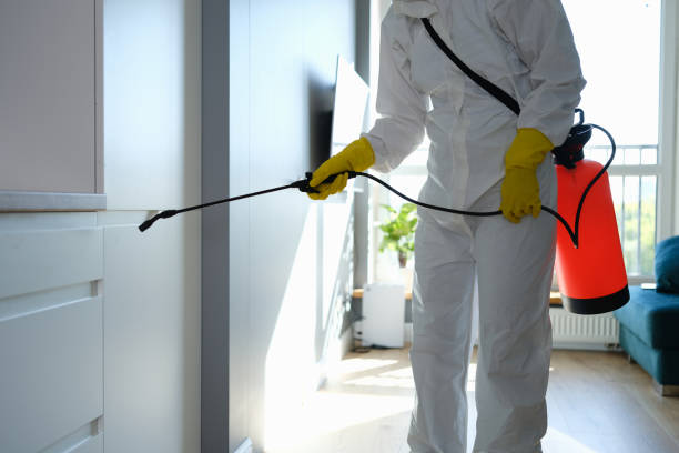 Best Fast Mold Removal  in Garfield, TX