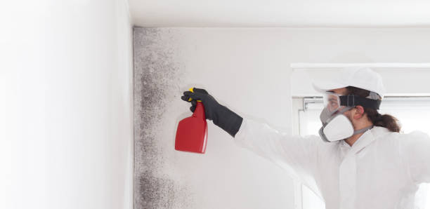 Best Mold Remediation Experts  in Garfield, TX